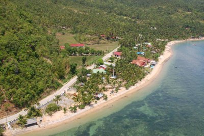 Arial view of PalmVille